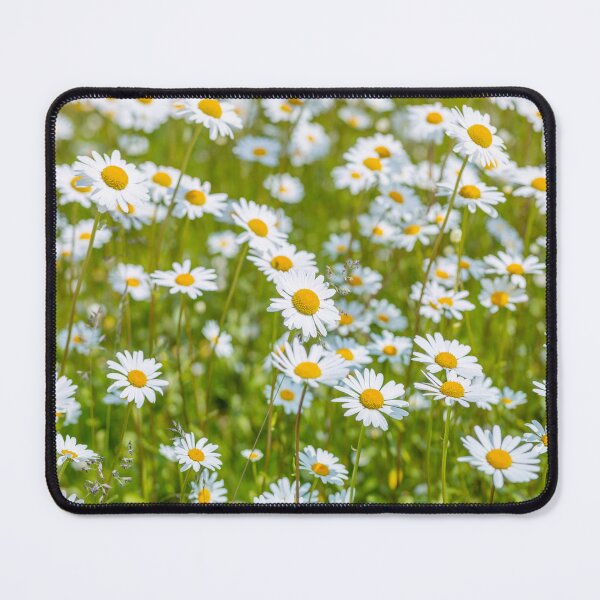Item preview, Daisy flowers designed and sold by assaf.