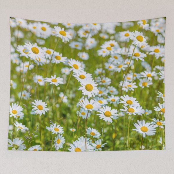 Item preview, Daisy flowers designed and sold by assaf.