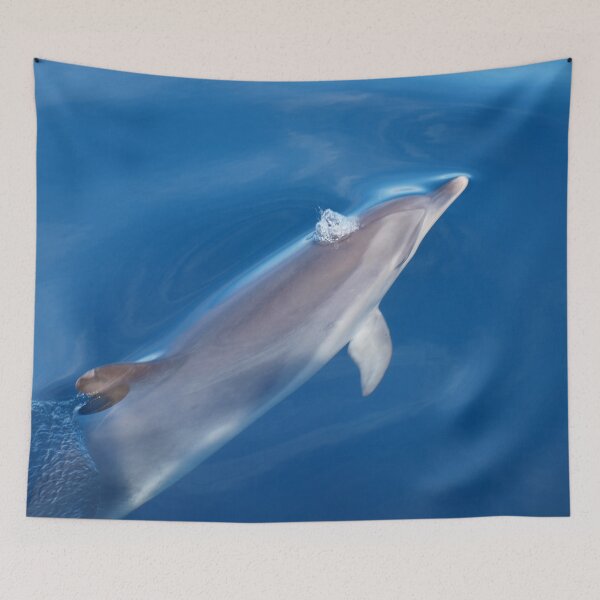 Item preview, Dreaming of dolphins designed and sold by Chloé Yzoard.