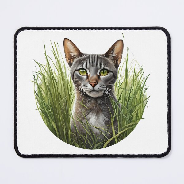 Item preview, Beautiful Blue Abyssinian cat designed and sold by Kaleddis.