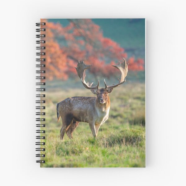 Item preview, Stag in wild designed and sold by assaf.