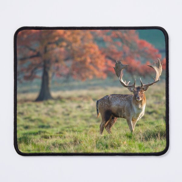 Item preview, Stag in wild designed and sold by assaf.