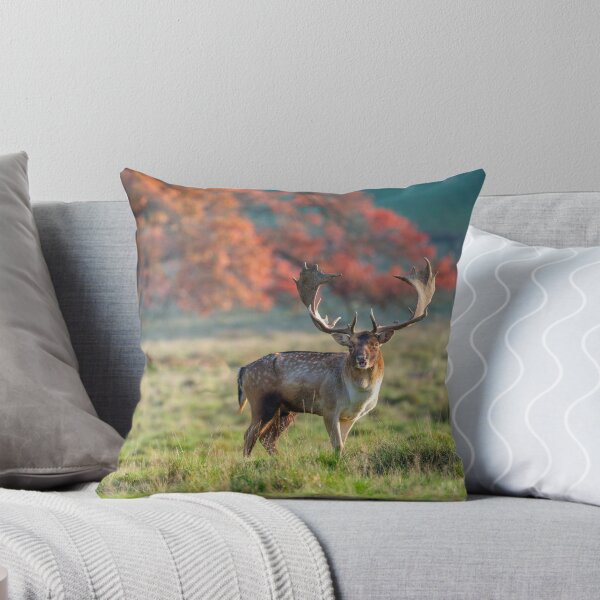 Item preview, Stag in wild designed and sold by assaf.