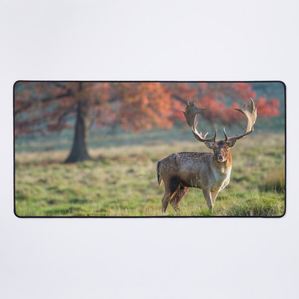 Item preview, Stag in wild designed and sold by assaf.