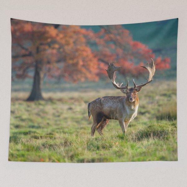 Item preview, Stag in wild designed and sold by assaf.