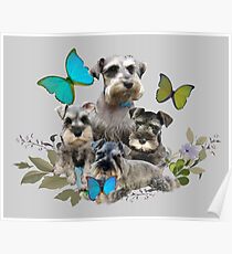 Miniature Schnauzer Puppies And Butterflies Friskybizpet Designs Poster