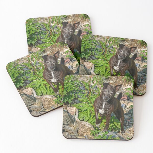 Item preview, The Patterdale Terrier designed and sold by Jamie  Green.