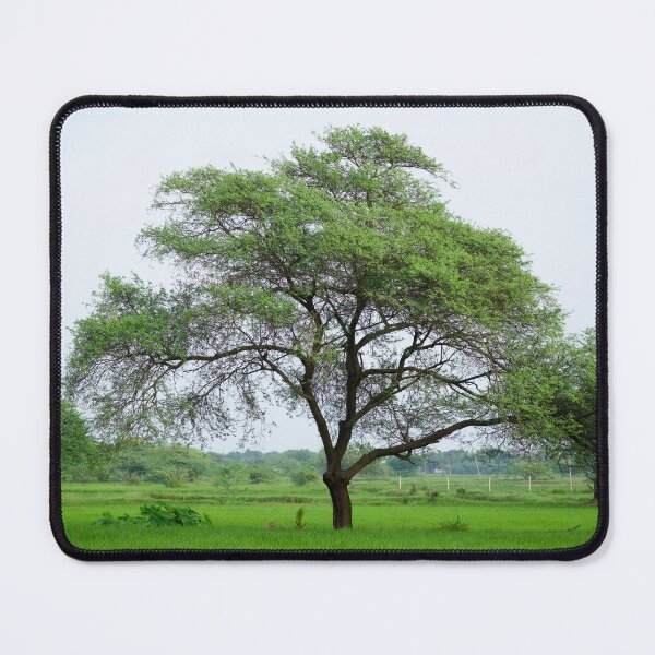 Item preview, Beautiful Tree in the paddy field designed and sold by GuruKde.