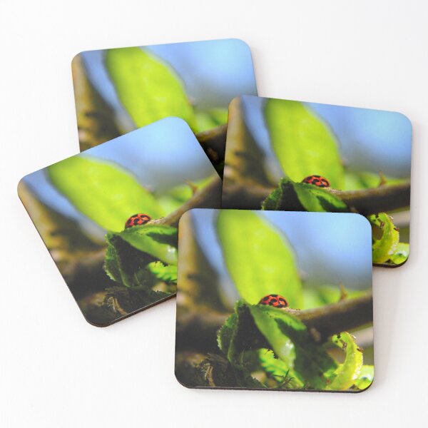 Item preview, Ladybug on a Branch designed and sold by Paul Yeatman.