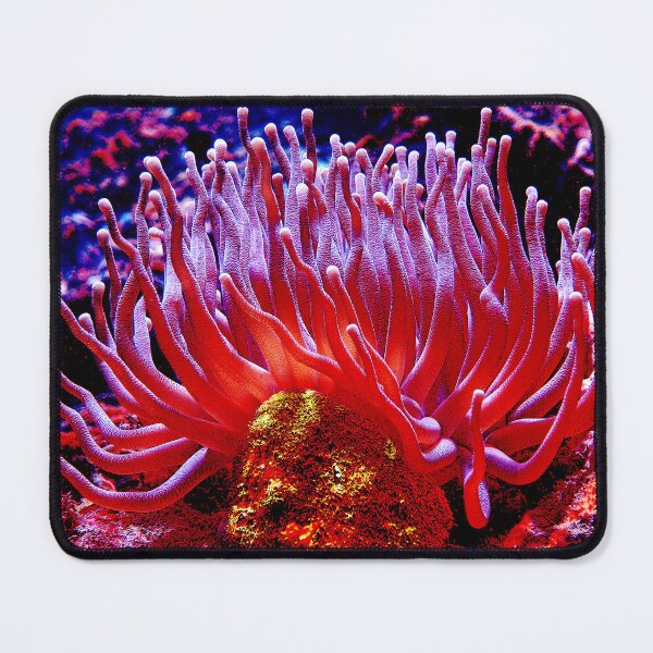 Item preview, Underwater inferno designed and sold by amosgazit.