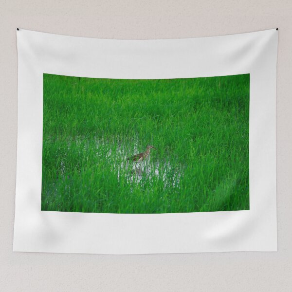 Item preview, Pond Heron Hide between paddys designed and sold by GuruKde.