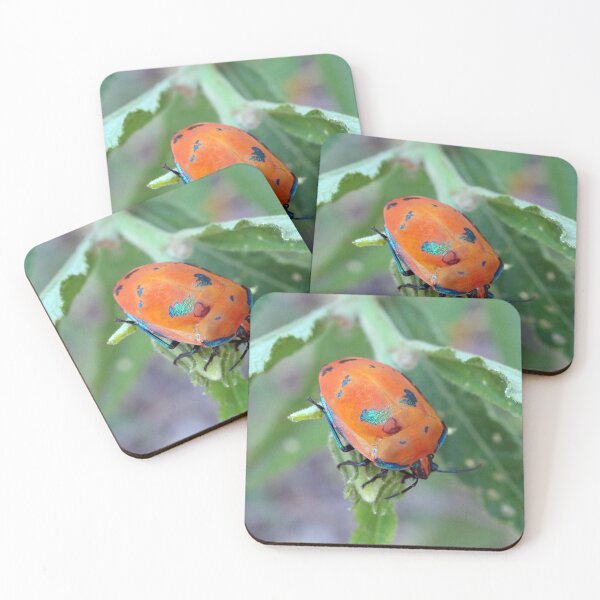 Item preview, Photograph of Harlequin bug designed and sold by Damien Harkin.