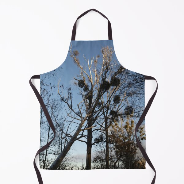 Item preview, Poplars designed and sold by Calidris Fotografie Steffi & Ben Köppler.