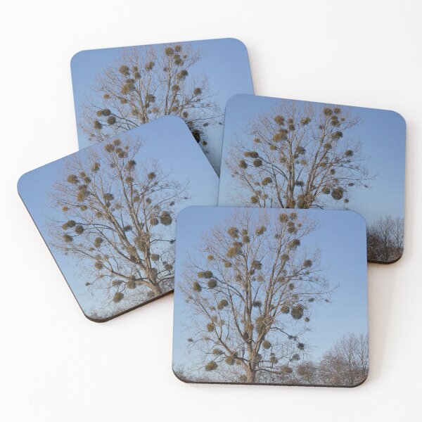 Item preview, Black Poplar and Mistletoe designed and sold by Calidris Fotografie Steffi & Ben Köppler.