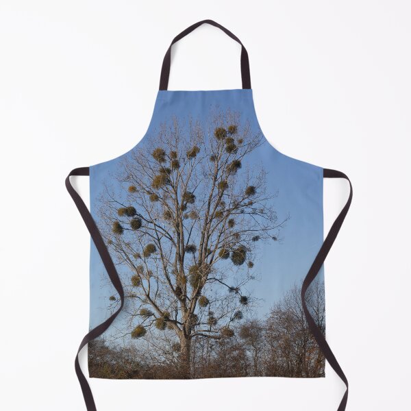 Item preview, Black Poplar and Mistletoe designed and sold by Calidris Fotografie Steffi & Ben Köppler.