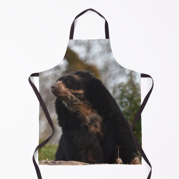 Item preview, Andean Bear at Chester Zoo designed and sold by megjayne-photos.