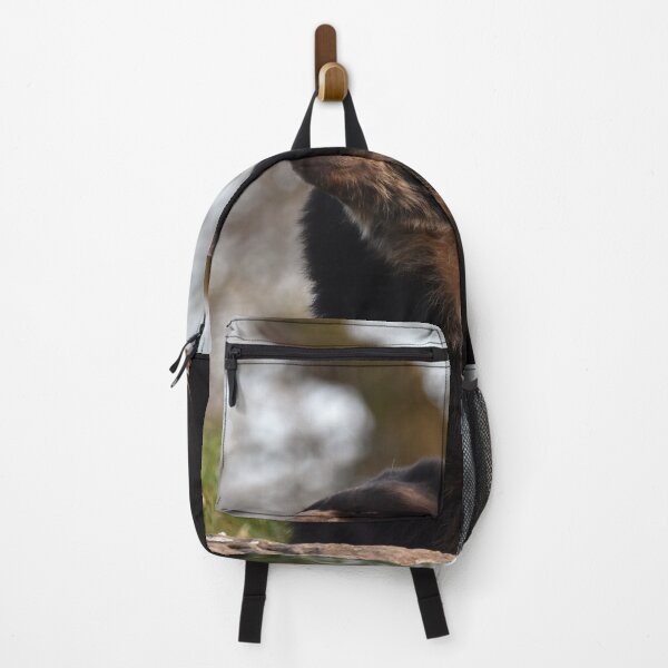 Item preview, Andean Bear at Chester Zoo designed and sold by megjayne-photos.