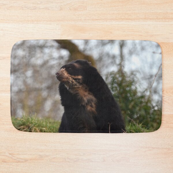 Item preview, Andean Bear at Chester Zoo designed and sold by megjayne-photos.