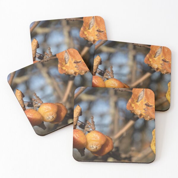 Item preview, Old Apples on a Tree designed and sold by Calidris Fotografie Steffi & Ben Köppler.