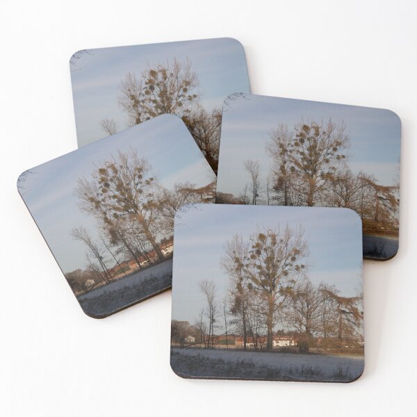 Item preview, Poplars designed and sold by Calidris Fotografie Steffi & Ben Köppler.
