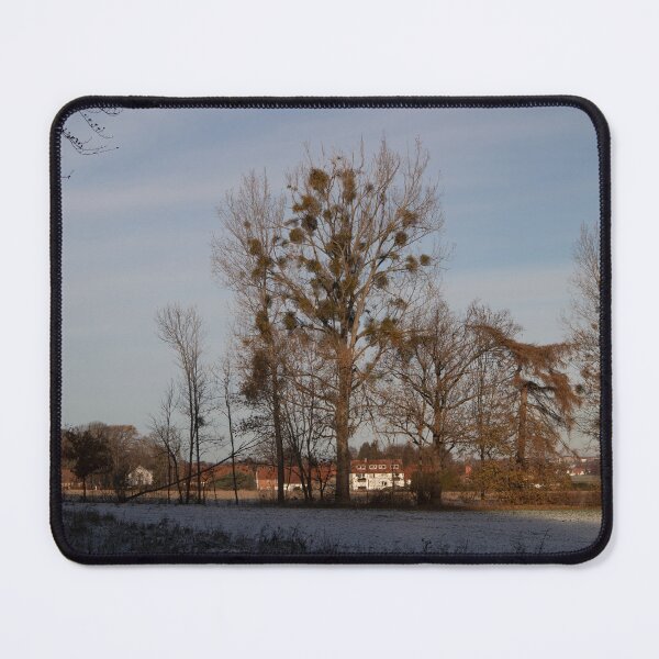 Item preview, Poplars designed and sold by Calidris Fotografie Steffi & Ben Köppler.