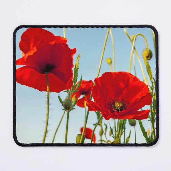 Item preview, Just a Poppy or Two designed and sold by mhfore.