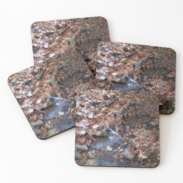 Item preview, Ice and Leaves designed and sold by Calidris Fotografie Steffi & Ben Köppler.