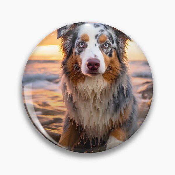 Item preview, Cute australian shepherd dog breed photography at sea sunset, aussie shepard designed and sold by NBSStore.