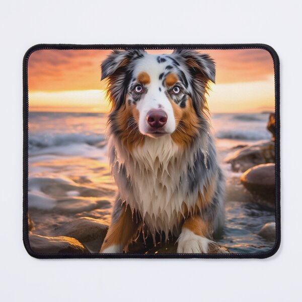 Item preview, Cute australian shepherd dog breed photography at sea sunset, aussie shepard designed and sold by NBSStore.