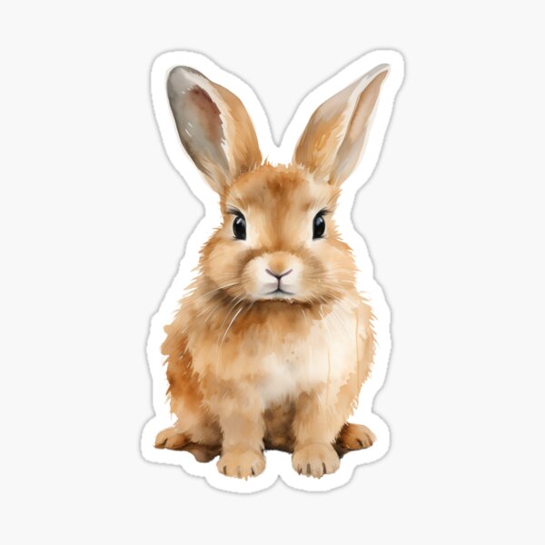 Cute Bunny Loves You Sticker