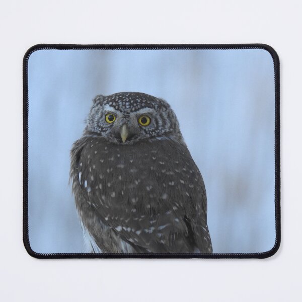 Item preview, Pygmy owl in the swedish forrest designed and sold by Infinity81.