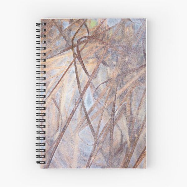 Item preview, Ice-locked reed in the floodplains of river Turiec in Slovakia designed and sold by MTShoppingLine.