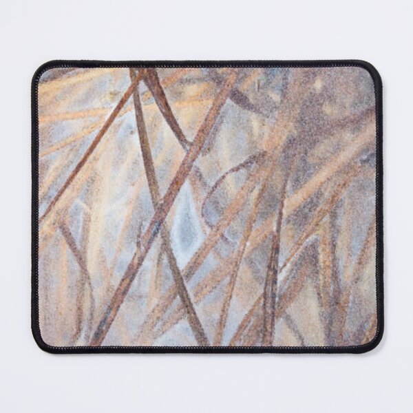Item preview, Ice-locked reed in the floodplains of river Turiec in Slovakia designed and sold by MTShoppingLine.