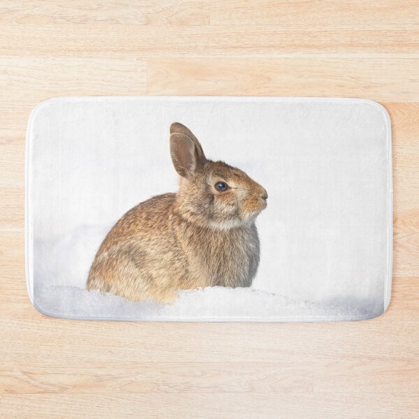 Item preview, Eastern Cottontail rabbit designed and sold by James Cumming.
