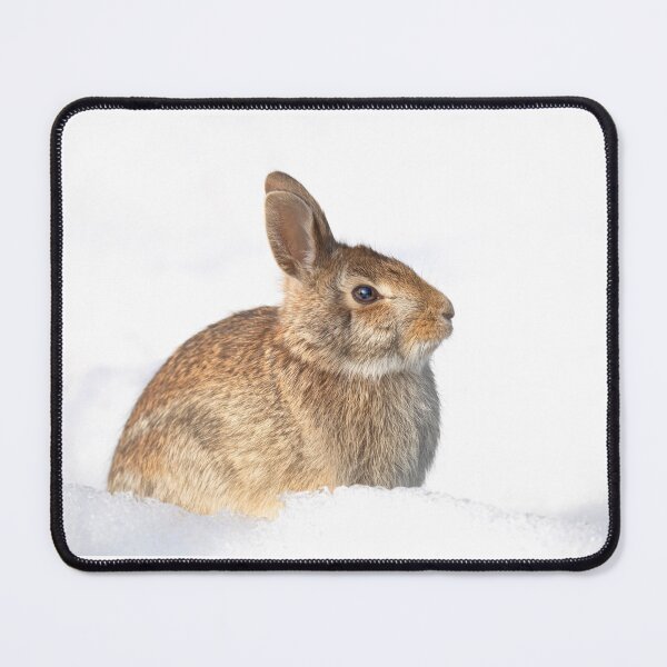 Item preview, Eastern Cottontail rabbit designed and sold by James Cumming.