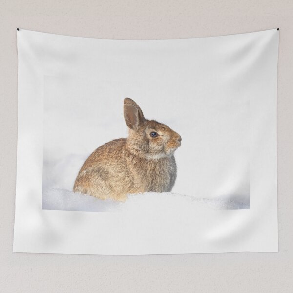 Item preview, Eastern Cottontail rabbit designed and sold by James Cumming.