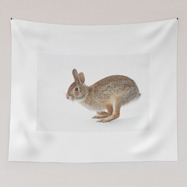 Item preview, Eastern Cottontail rabbit designed and sold by James Cumming.