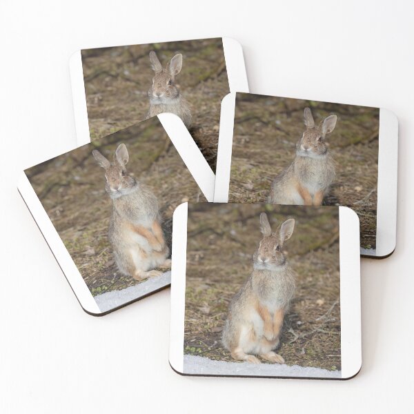 Item preview, Eastern Cottontail rabbit designed and sold by James Cumming.