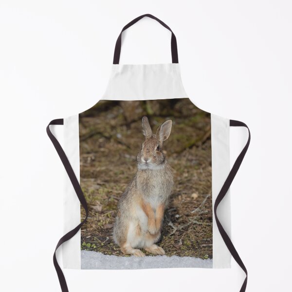 Item preview, Eastern Cottontail rabbit designed and sold by James Cumming.