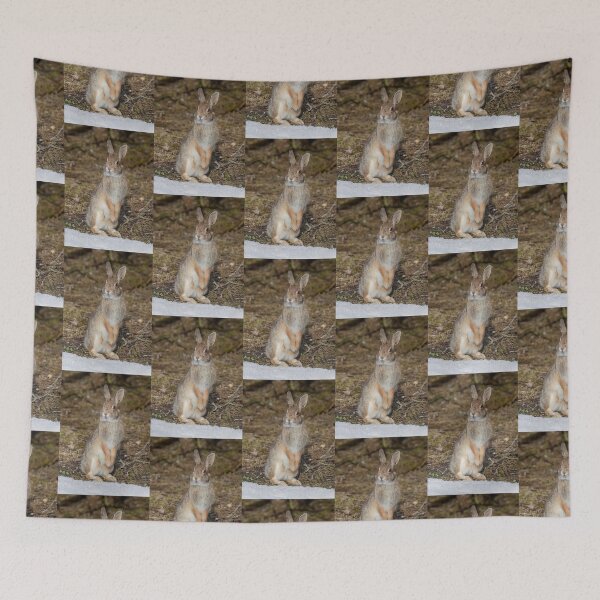 Item preview, Eastern Cottontail rabbit designed and sold by James Cumming.