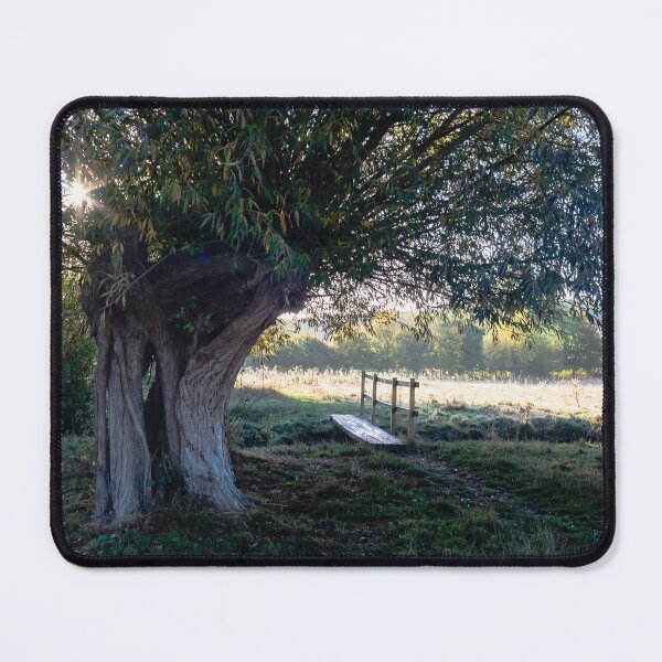 Item preview, Fan tree | Cotswolds  designed and sold by Cotswolds Photographer.