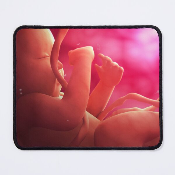 Item preview, STK701400H-Fetus developing inside the womb. designed and sold by StocktrekImages.