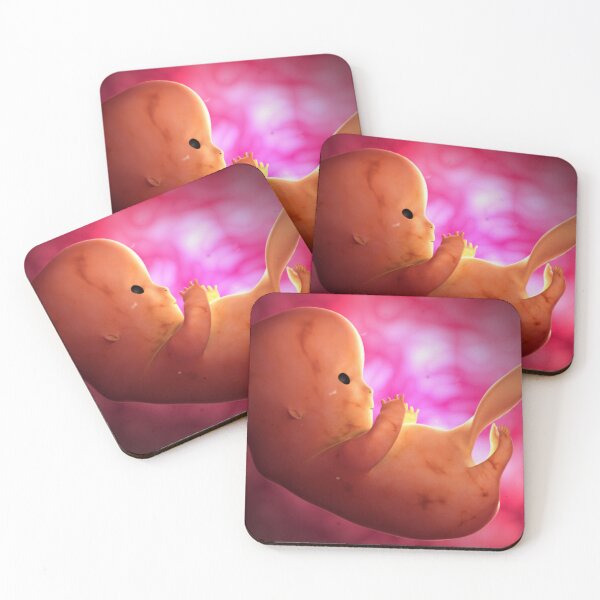 Item preview, STK701401H-Fetus development at 8 weeks inside the womb. designed and sold by StocktrekImages.