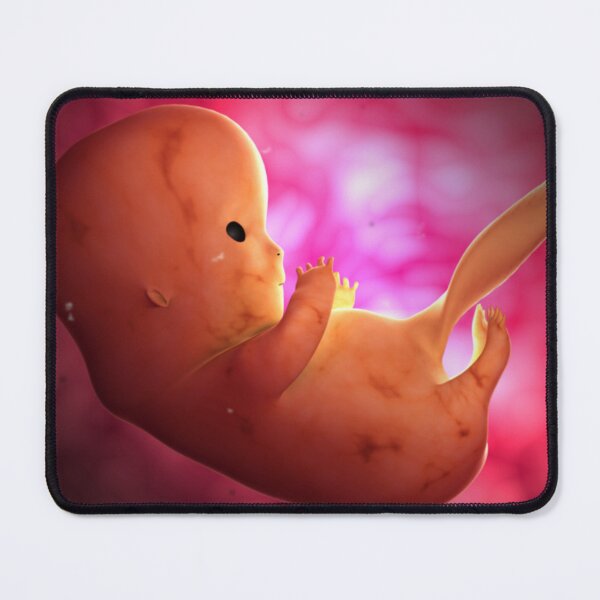 Item preview, STK701401H-Fetus development at 8 weeks inside the womb. designed and sold by StocktrekImages.