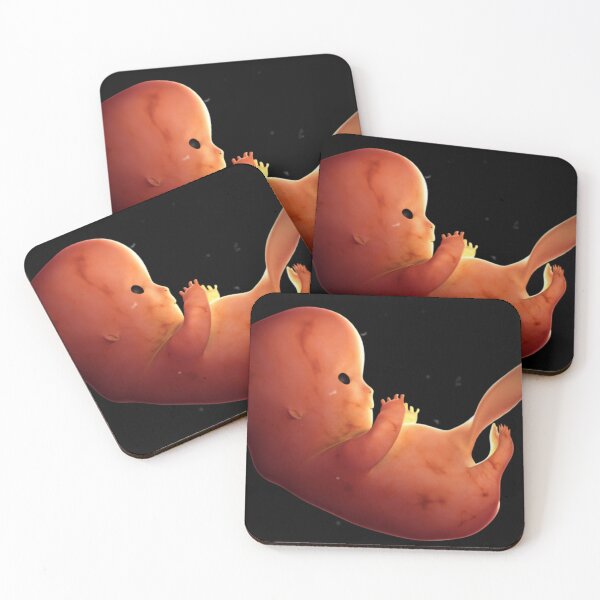 Item preview, STK701402H-Fetus development at 8 weeks. designed and sold by StocktrekImages.