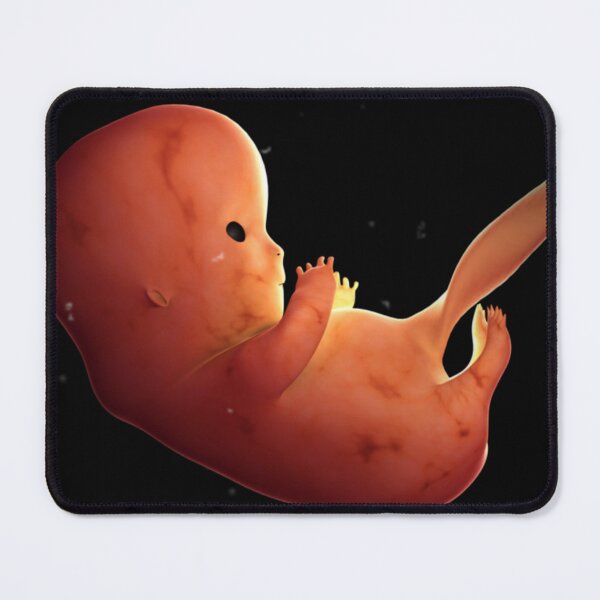 Item preview, STK701402H-Fetus development at 8 weeks. designed and sold by StocktrekImages.
