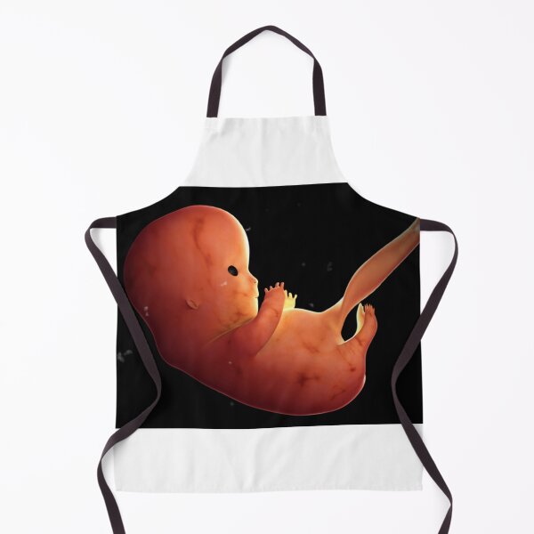 Item preview, STK701402H-Fetus development at 8 weeks. designed and sold by StocktrekImages.