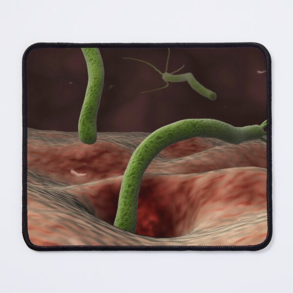 Item preview, STK701403H-Helicobacter pylori bacteria entering the stomach. designed and sold by StocktrekImages.