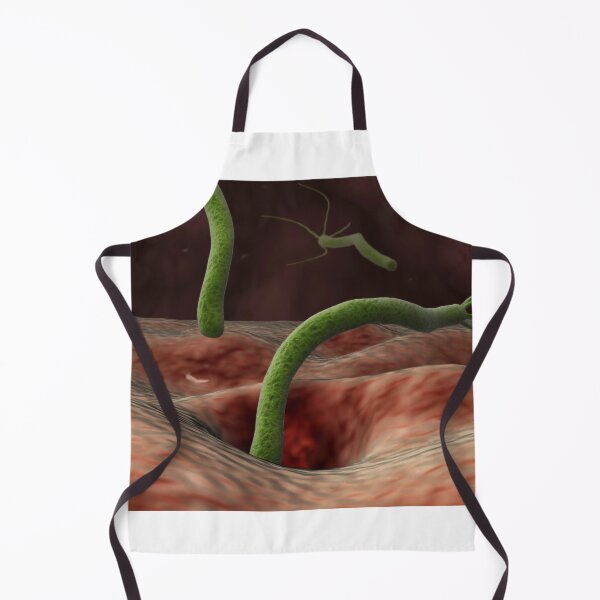 Item preview, STK701403H-Helicobacter pylori bacteria entering the stomach. designed and sold by StocktrekImages.