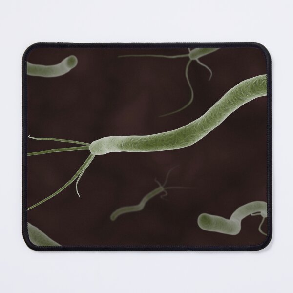 Item preview, STK701404H-Helicobacter pylori bacteria. designed and sold by StocktrekImages.